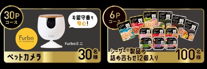 ペットカメラやシーザー製品セットが当たるレシートキャンペーン