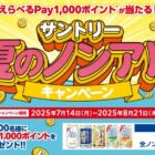 えらべるPay 1,000円分