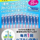 ハブラシ 1年分