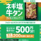 ほっともっと電子マネー 500円分