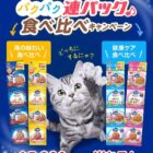 コンボ キャット食べ比べセット