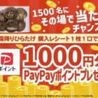 PayPayポイント 1,000円分