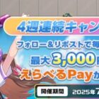 最大3,000円分のえらべるPayがその場で当たるXキャンペーン
