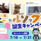 キャットフードやAmazonギフトカードが当たるALSOKのXキャンペーン