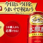 BRUNOホットプレートグランデサイズ / LE CREUSET ラウンド・プレート 他