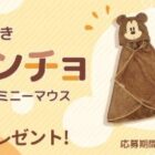 ミッキー・ミニーのフード付きバスポンチョが当たる新規会員登録キャンペーン