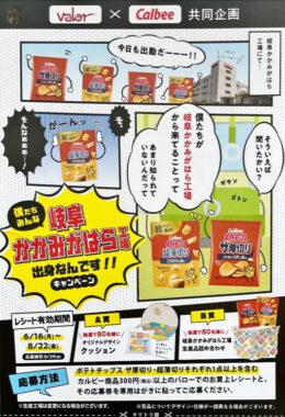 【バロー×カルビー】オリジナルクッションやカルビー商品セットが当たるキャンペーン