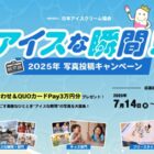 アイス詰め合わせ＆QUOカードPayが当たる日本アイスクリーム協会の写真投稿キャンペーン