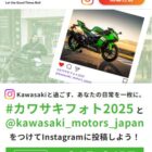 QUOカードPay 最大5,000円分