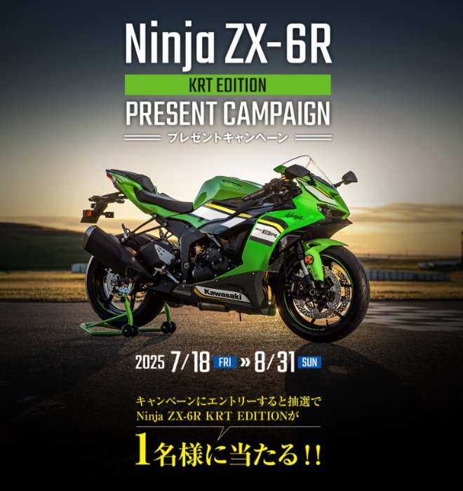 月初 Kawasaki ZX-6R 2008 Ninja decals set (full kit) - silver
