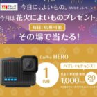 GoPro HERO
