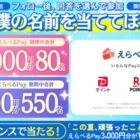 えらべるPay 最大3,000円分