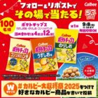 ポテトチップスセット