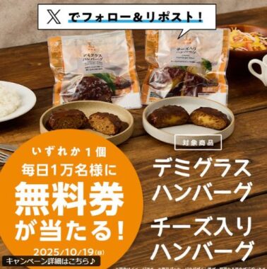 毎日1万名様にデミグラスハンバーグ・チーズ入りハンバーグのクーポンが当たる大量当選X懸賞