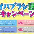 ハブラシ 1年分