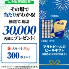えらべるPay 300ポイント