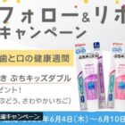 ジェル状歯みがき ぷちキッズダブル