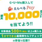 最大10,000円分のえらべるPayが当たるサンスターのクローズドキャンペーン