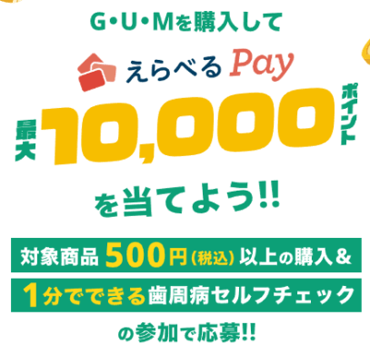 最大10,000円分のえらべるPayが当たるサンスターのクローズドキャンペーン