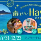 ハワイ旅行相当のJTBトラベルギフト+アパガード 他
