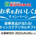 Wチャンスもアリ！グルメカタログギフトが当たるミツハシライスのクローズド懸賞