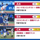 スタジアムでの特別な体験+観戦チケット