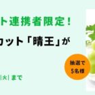 シャインマスカットが当たるディノスのLINEアカウント連携キャンペーン