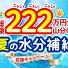 最大10,000円分のQUOカードPayが当たるピュリナのクローズドキャンペーン