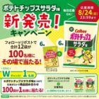 ポテトチップスサラダ味 1ケース