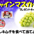 シャインマスカットやお米などが当たる美山のクローズドキャンペーン