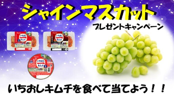 シャインマスカットやお米などが当たる美山のクローズドキャンペーン