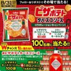 ピザポテト100袋+TABASCOソース