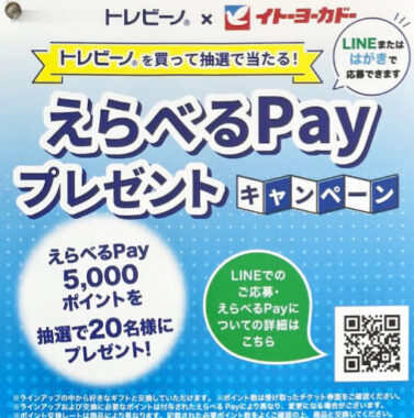 【イトーヨーカドー×東レ】5,000円分のえらべるPayが当たるクローズドキャンペーン