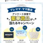 Amazonギフト券 10,000円分 / 夢の国ペアチケット / ジェラートピケ ママバッグ