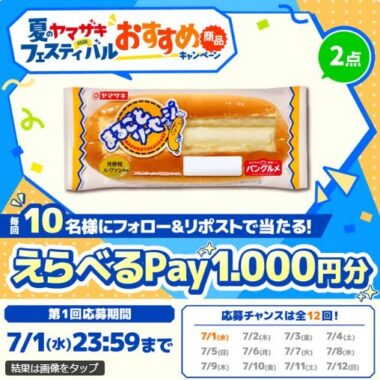 えらべるPay1,000円分が毎日10名様にその場で当たるXキャンペーン