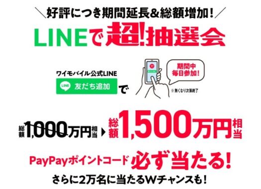 PayPayポイント 最大20万円相当