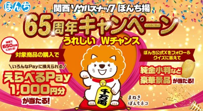 えらべるPay1,000円分が当たるぼんち揚購入キャンペーン