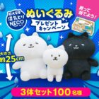 湿気とりNEKOのぬいぐるみセットが当たるクローズドキャンペーン