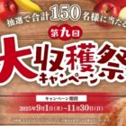 えらべるPay 1,000円分 / Visaギフトカード 20,000円分 / ペティオ詰め合わせ 他