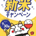鹿児島の特産品が当たる新米購入キャンペーン