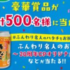 越後製菓の米菓詰め合わせやQUOカードPayも当たるクローズドキャンペーン