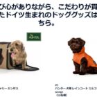 ワンコとのドライブが楽しくなるグッズが当たるキャンペーン