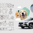 愛犬とのお出かけが楽しくなるグッズが当たるSUBARUの試乗キャンペーン