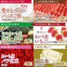 あいち牛 / あいち産 野菜・果物 / あいち産 バラ花束 他