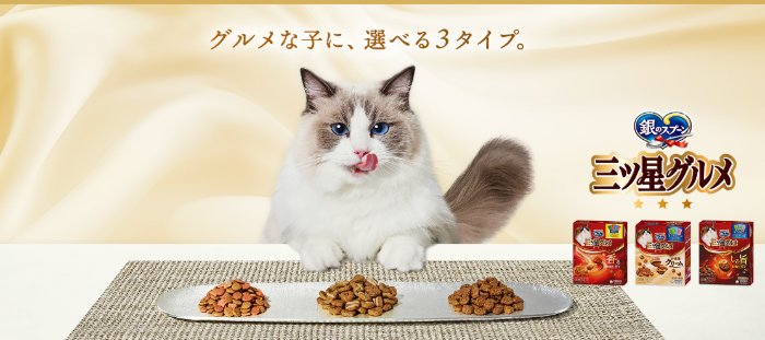 銀のスプーン三ツ星グルメのお試しセットが当たるキャンペーン