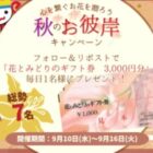 花とみどりのギフト券3,000円分が当たる毎日応募Xキャンペーン