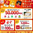 ルンバ / デジタルポイント 5万円分 / 永谷園商品詰め合わせ 他