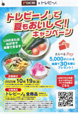 【DCM×東レ】5,000円分のえらべるPayが当たるクローズドキャンペーン