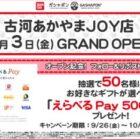 えらべるPay 500円分