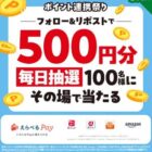 えらべるPay 500円相当